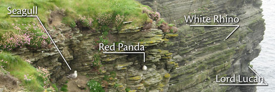 Unicorn partially submerged Birdspotting - the inverse law