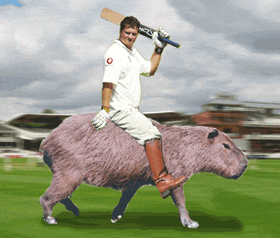 Rob Key and capybara, rampant on a field, vert